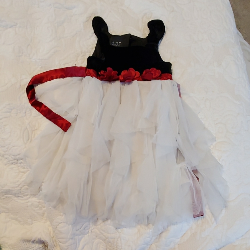 Velvet and tulle dress
